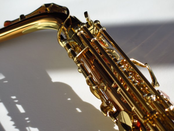 Sax alto Yanagisawa WO2 (13)