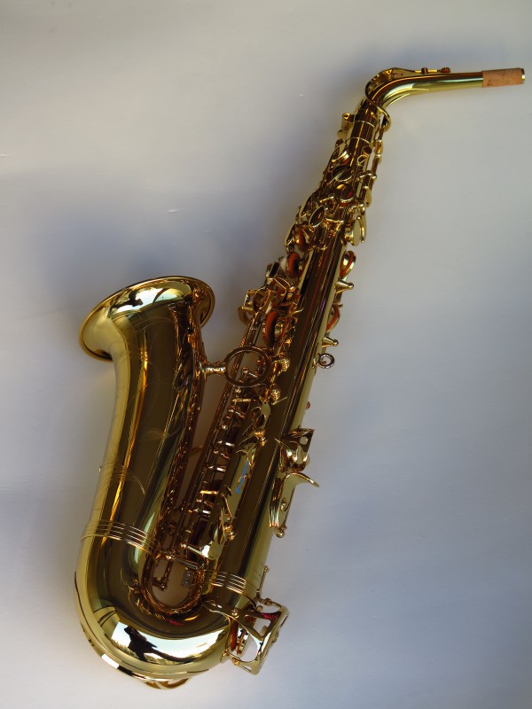 Sax alto Yanagisawa WO1 (6)