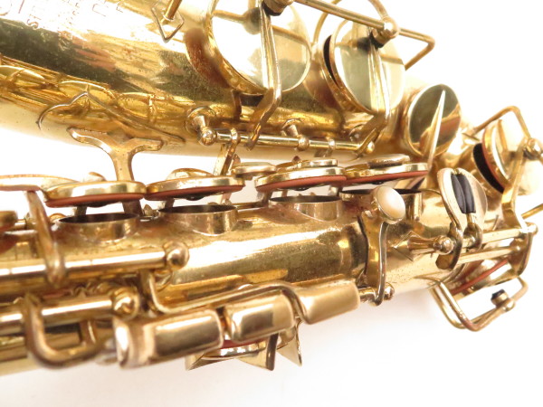 Saxophone alto SML Standard (1)